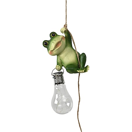 Frog - Product card gallery slide 3 (10177841398073)
