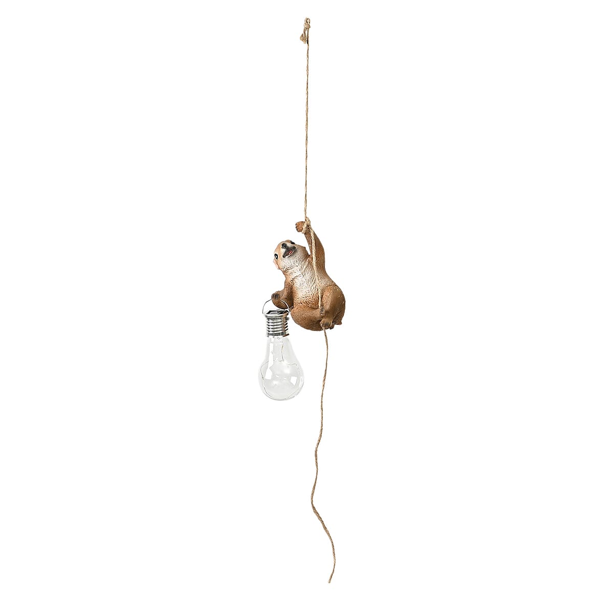 Charming Squirrel Holding a Glowing Solar Light LED Bulb image number 1