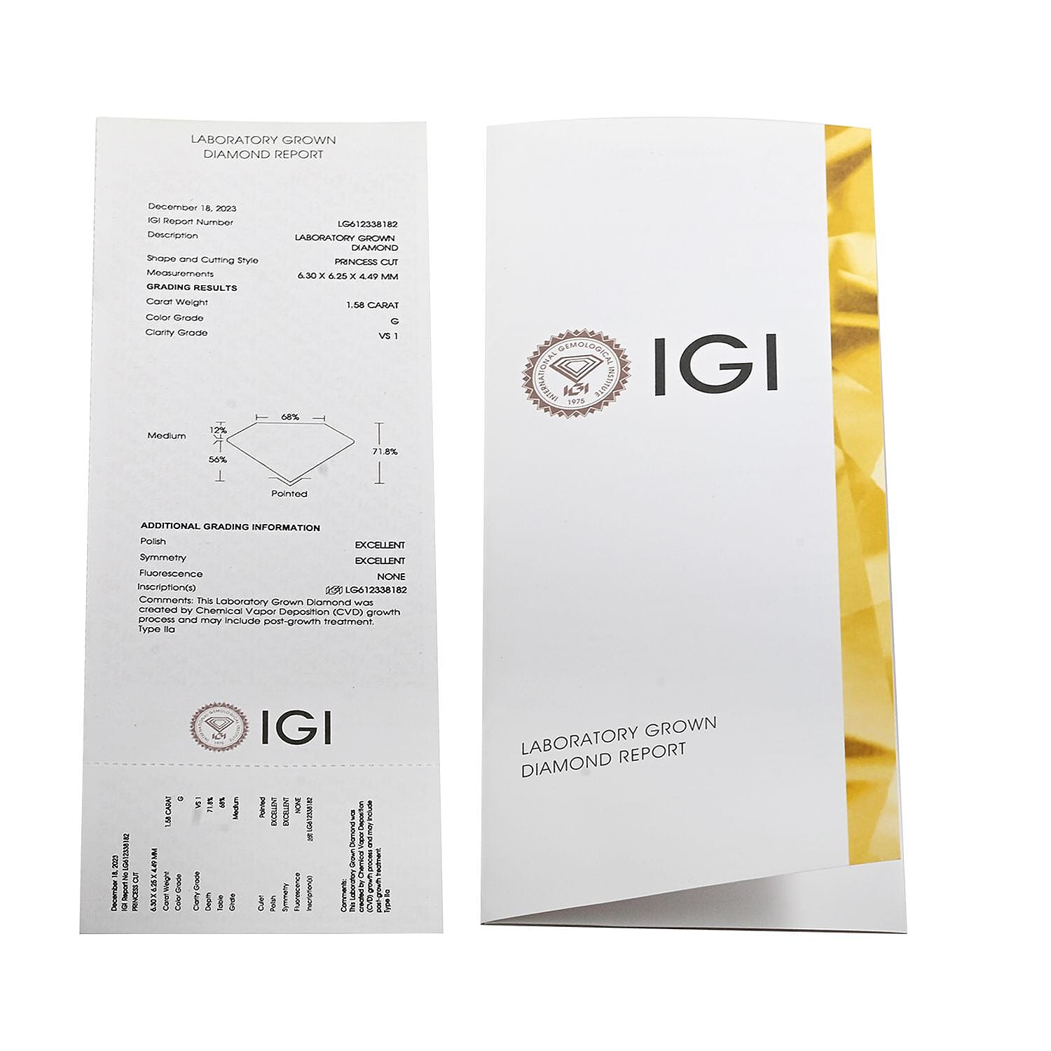 Luxuriant Lab Grown Diamond G VS2 3.00 ctw Earrings in 14K Yellow Gold