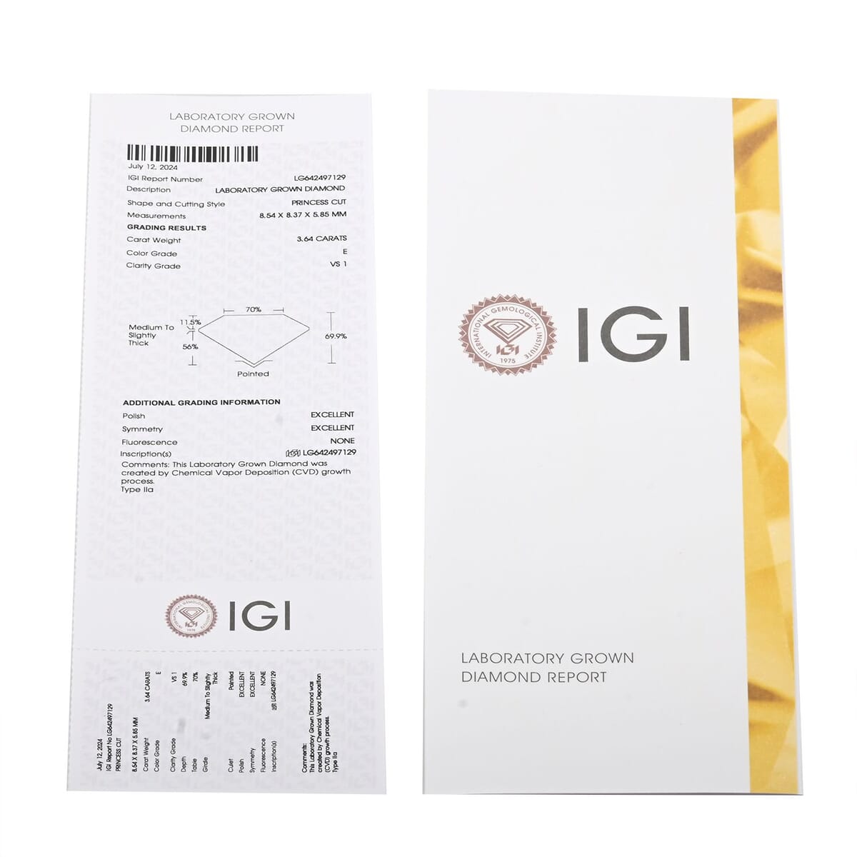 Luxuriant Lab Grown Diamond VS2-G 7.00 ctw Earrings in 14K Yellow Gold image number 5