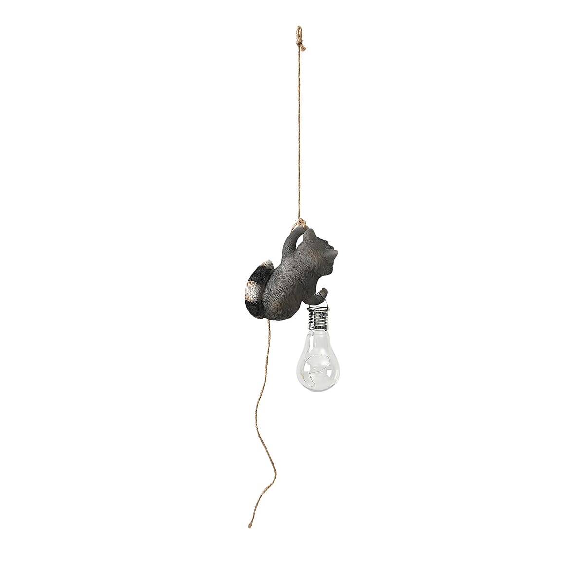 Charming Raccoon Holding a Glowing Solar Light LED Bulb image number 1