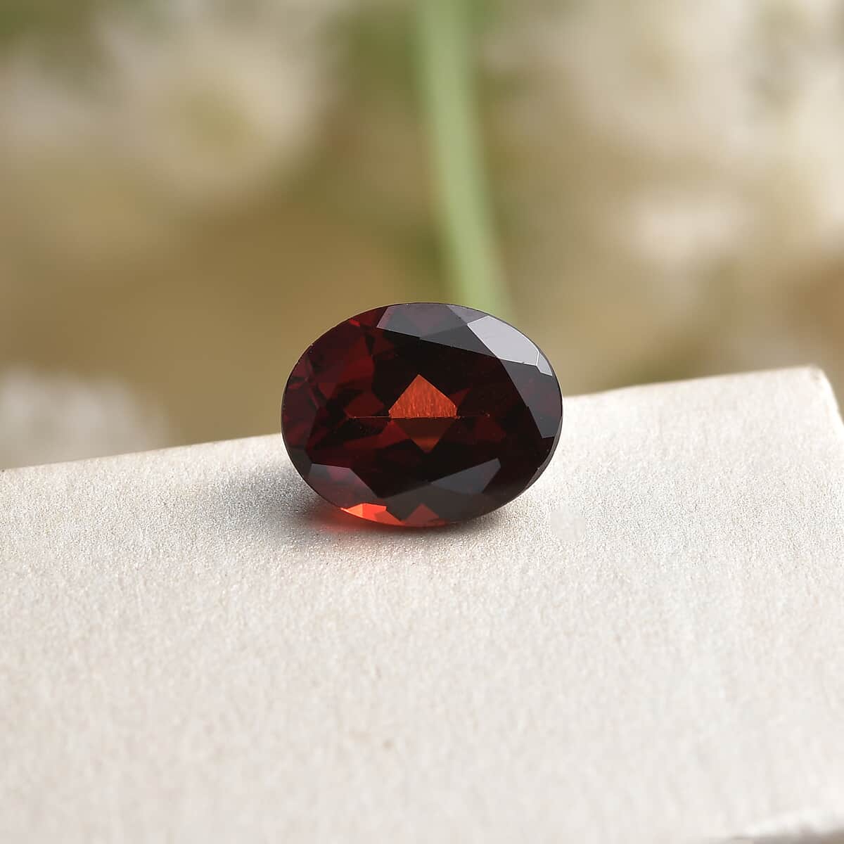 Mozambique Garnet (Ovl 10x8mm) 2.45 ctw image number 1