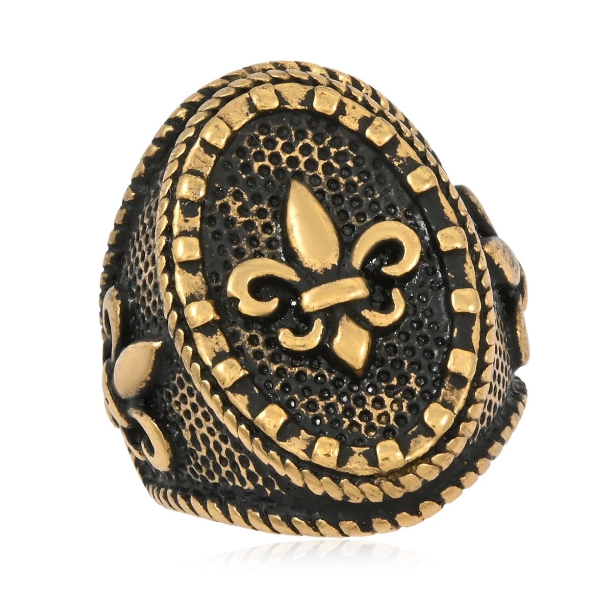 ION Plated YG Stainless Steel Decorative Ring (Size 9.0) image number 0