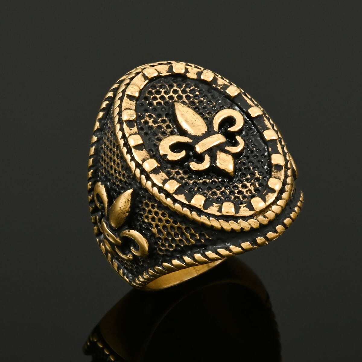 ION Plated YG Stainless Steel Decorative Ring (Size 9.0) image number 1