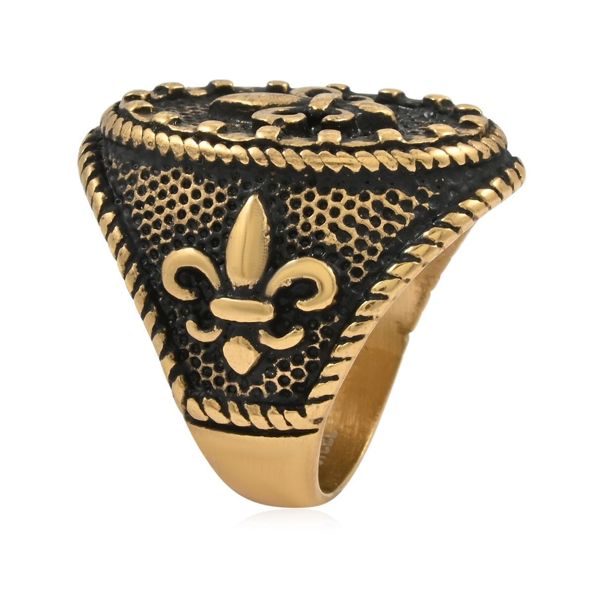 ION Plated YG Stainless Steel Decorative Ring (Size 9.0) image number 3