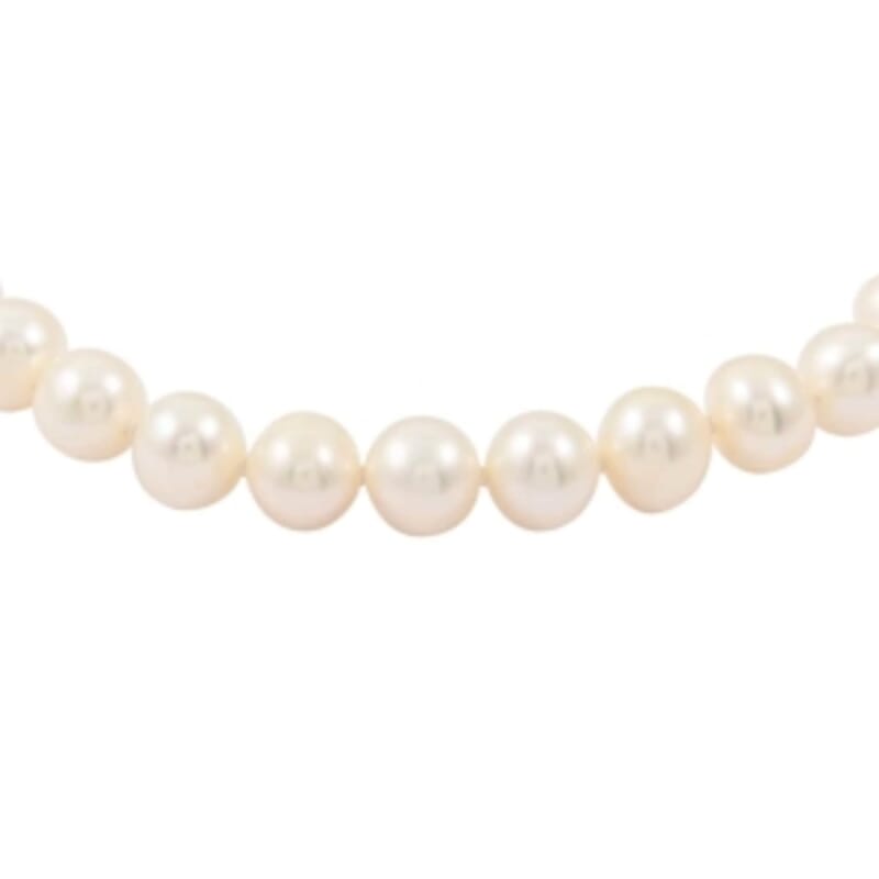 Freshwater Pearl Bracelet in Goldtone (7.00 In)