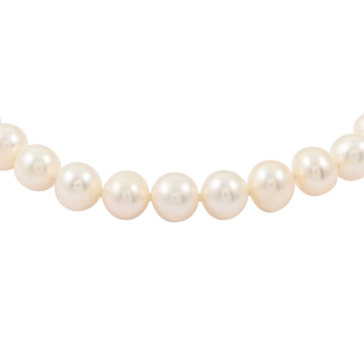 Value Buy Freshwater Pearl Bracelet in Rosetone (7.00 In) image number 3