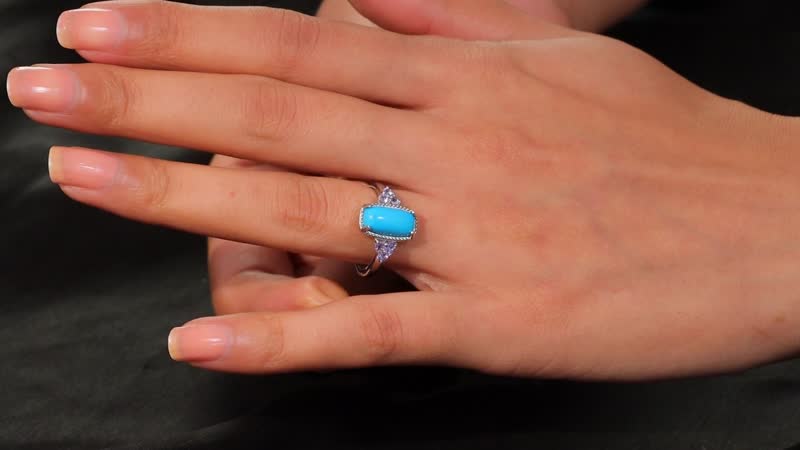 Karis Premium Sleeping Beauty Turquoise, Tanzanite Ring in Platinum Bond (Size 10.0) 2.70 ctw