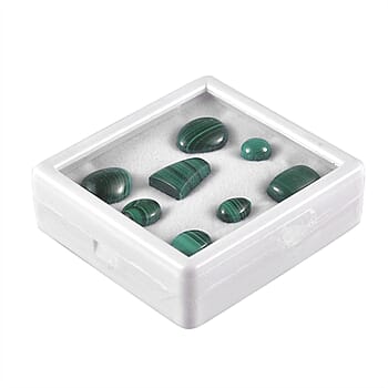 Default Title - Product card gallery slide 2 (10177855193401)