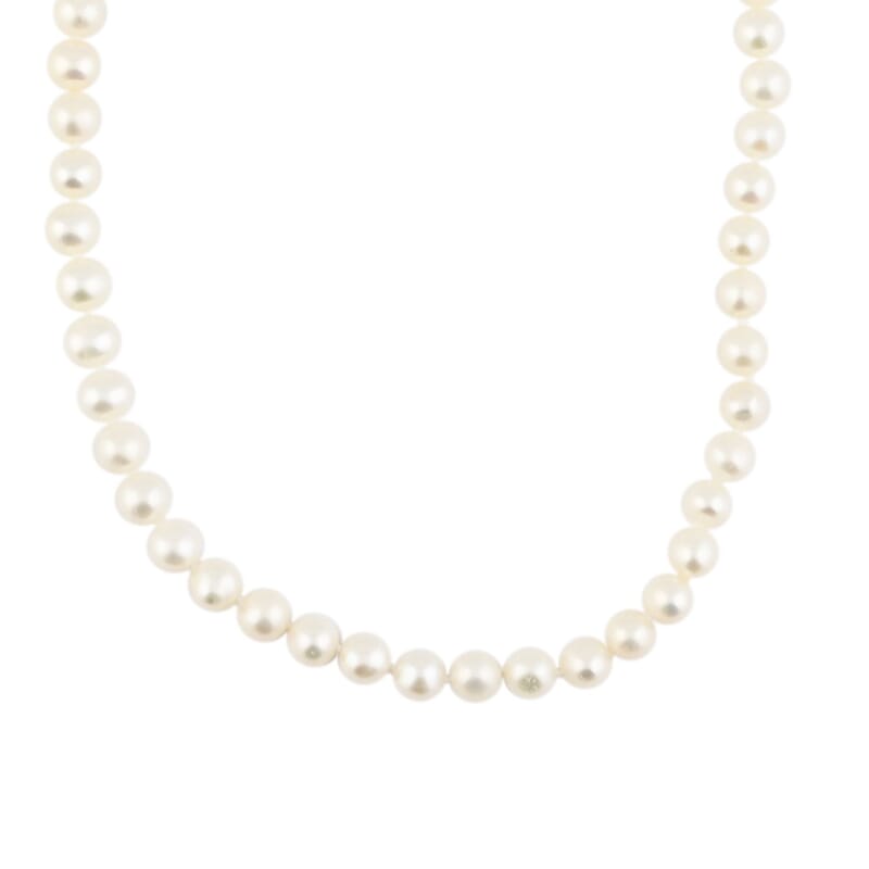 Freshwater Pearl Flower Clasp Necklace in Goldtone 18 Inches