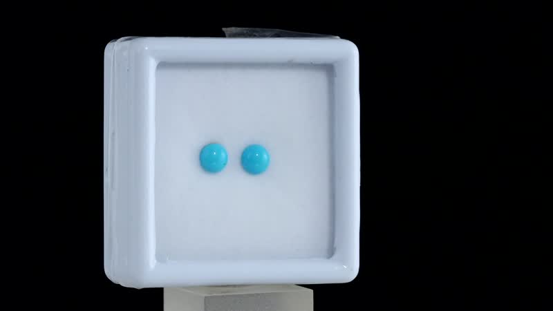 Sleeping Beauty Turquoise Set of 2 (Rnd 5 mm) 0.92 ctw