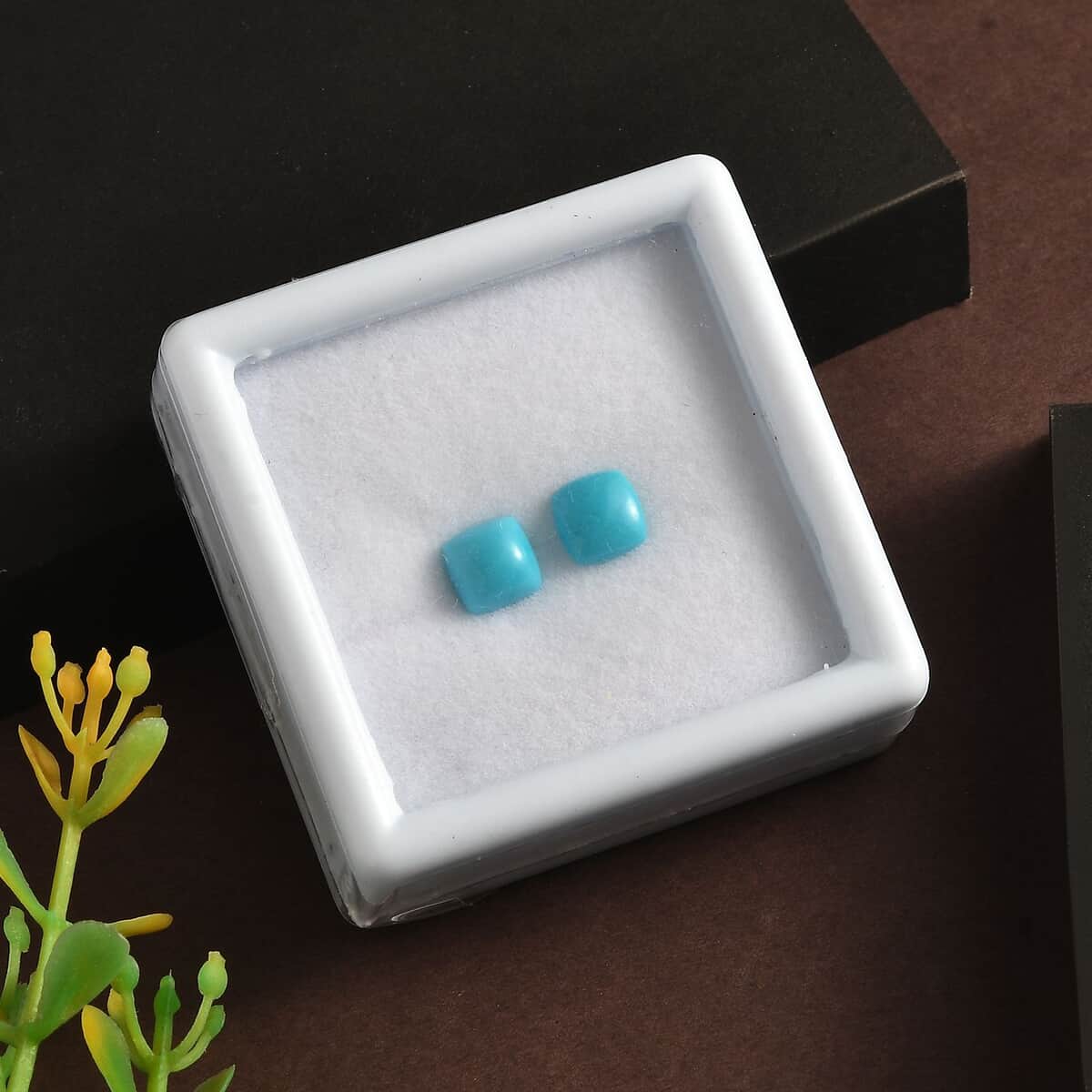 Sleeping Beauty Turquoise Set of 2 (Cush 6x6 mm) 1.74 ctw image number 1