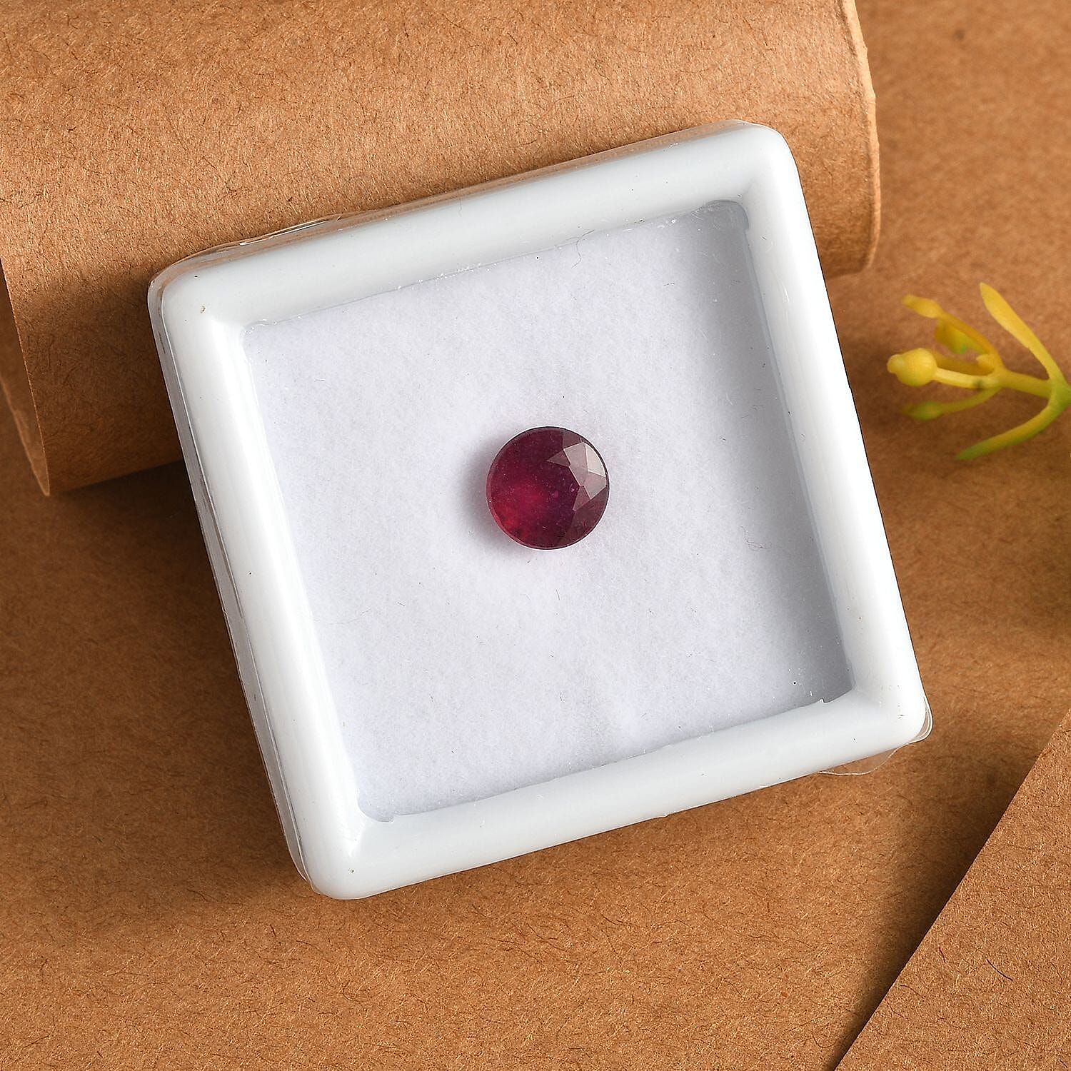 Default Title - Product card gallery slide 2 (9432579637503)