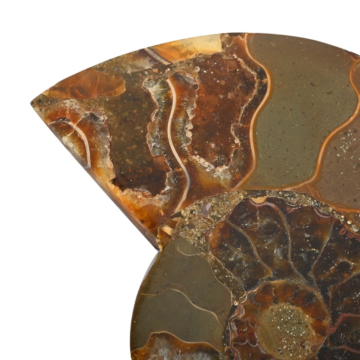 Ammonite Pair Below 3" Approx 498cts image number 2