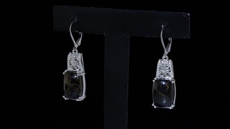 Matrix Silver Shungite 9.40 ctw Solitaire Lever Back Earrings in Platinum Over Copper with Magnet