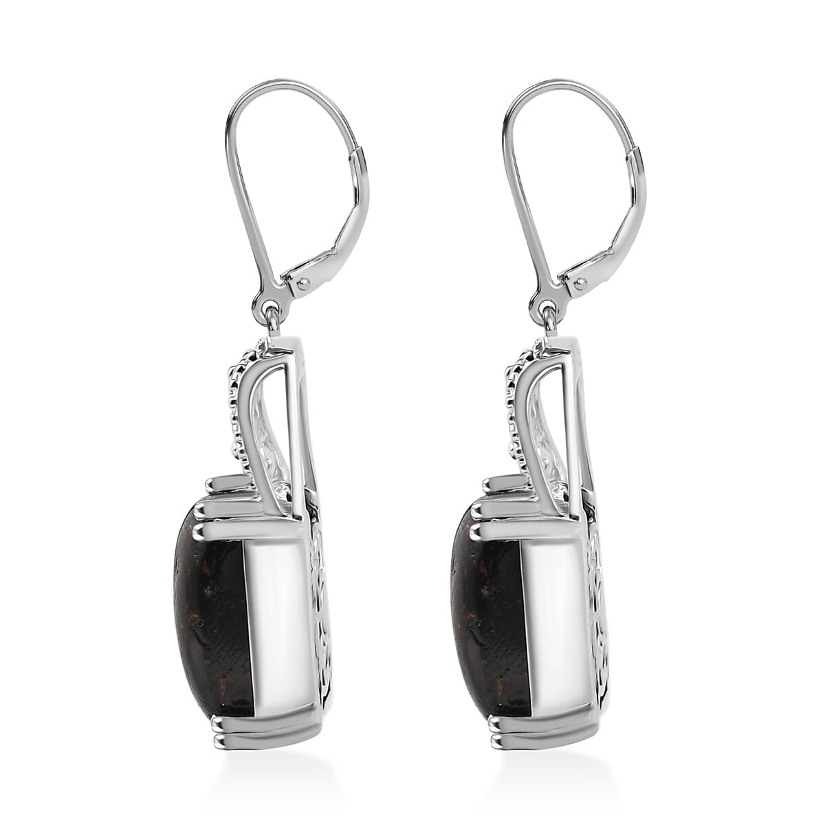 Matrix Silver Shungite 9.40 ctw Solitaire Lever Back Earrings in Platinum Over Copper with Magnet image number 3