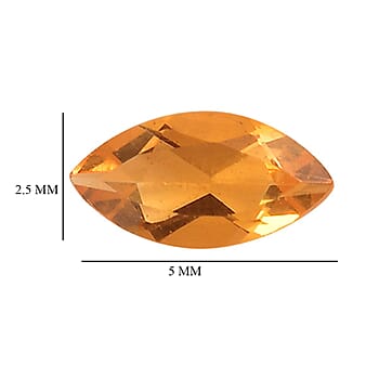 Default Title - Product card gallery slide 4 (10177875837241)