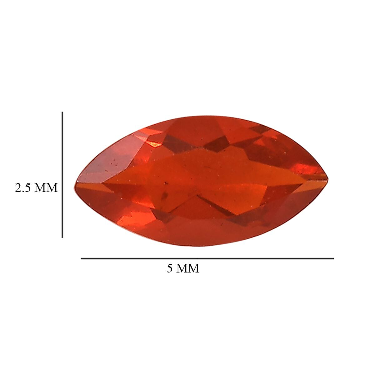 Default Title - Product card gallery slide 4 (10145918583067)