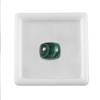 Default Title - Product card gallery slide 3 (10177877606713)