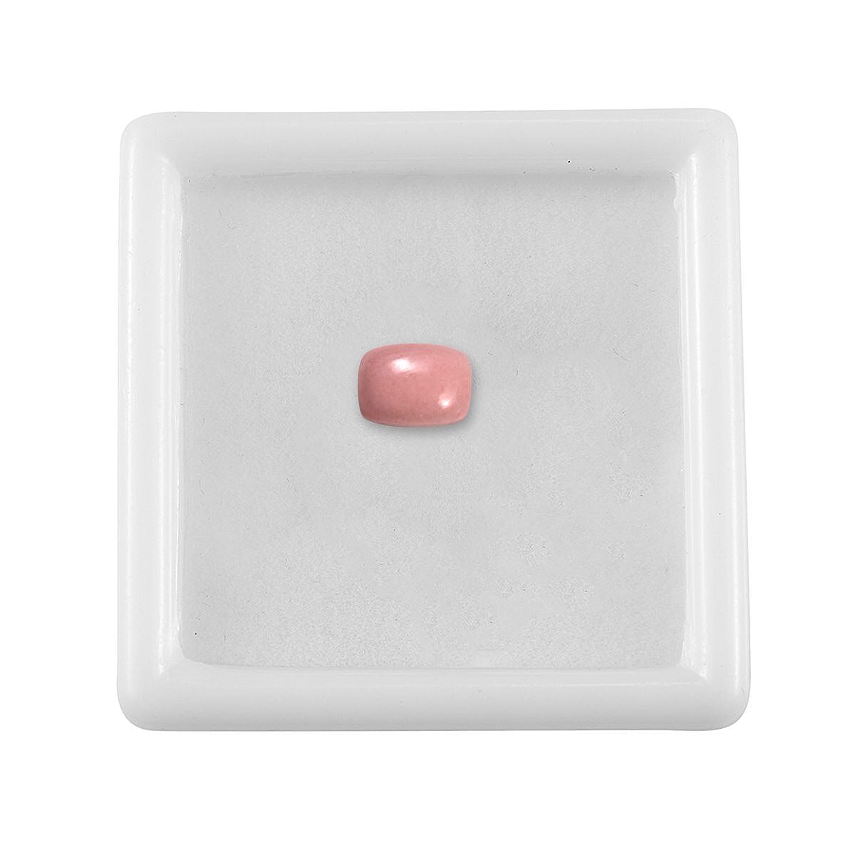 Default Title - Product card gallery slide 3 (10145922416923)