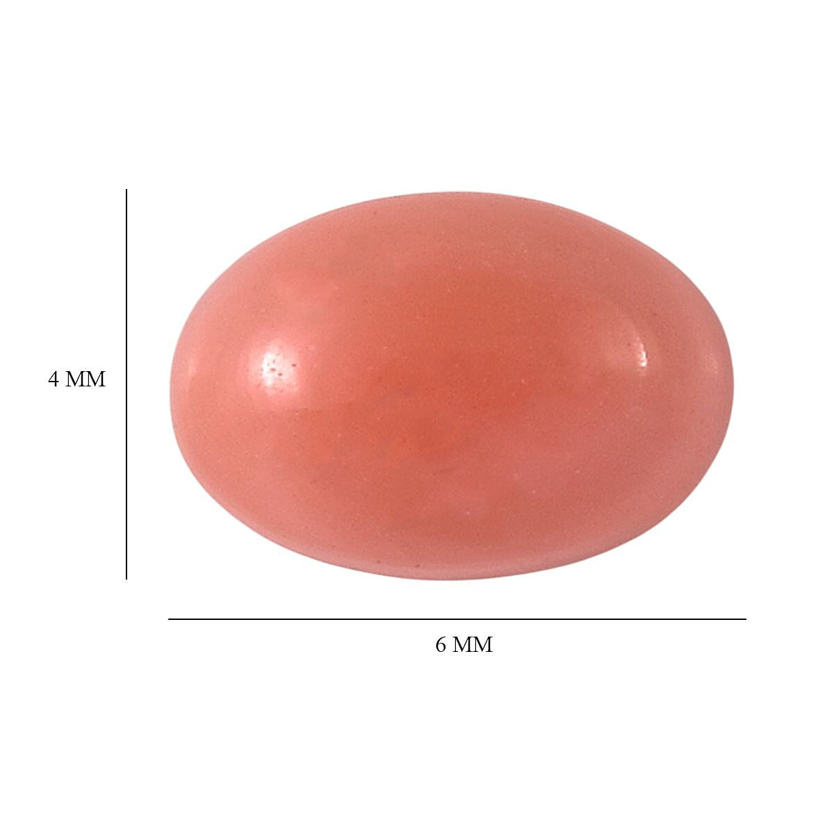 Default Title - Product card gallery slide 4 (10146029895963)