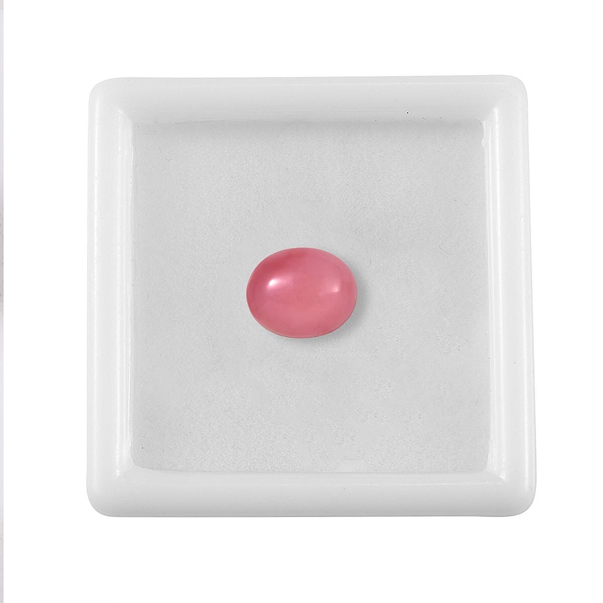 Default Title - Product card gallery slide 3 (10145950499099)