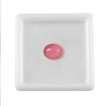 Default Title - Product card gallery slide 3 (10177881014585)