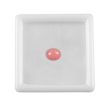 Default Title - Product card gallery slide 3 (10177880883513)