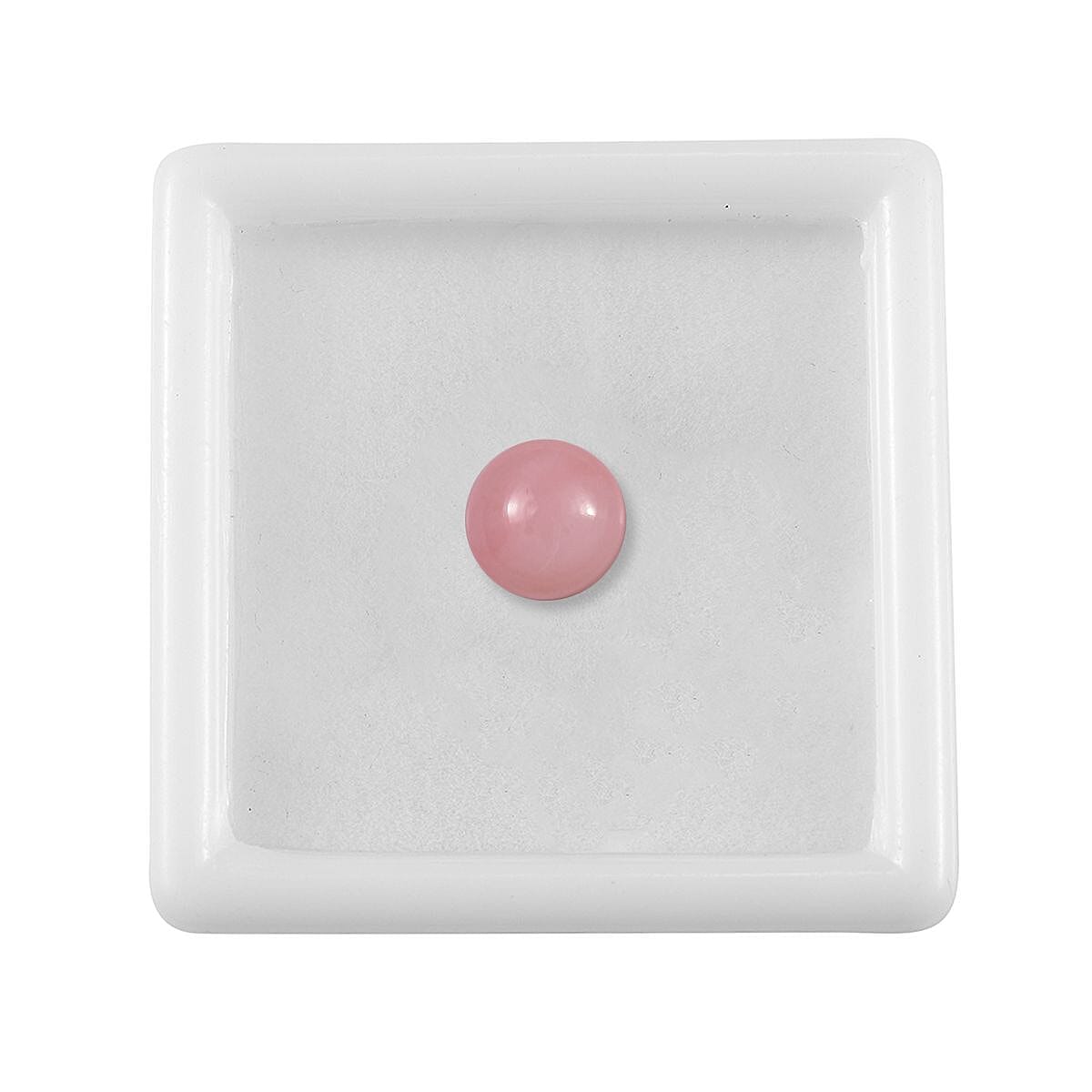 Default Title - Product card gallery slide 3 (10145950925083)