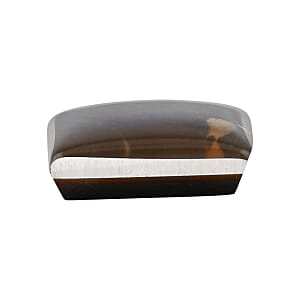 AAAA Canadian Ammolite (Sqr 8x8 mm) 1.50 ctw