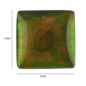 AAAA Canadian Ammolite (Sqr 8x8 mm) 1.50 ctw