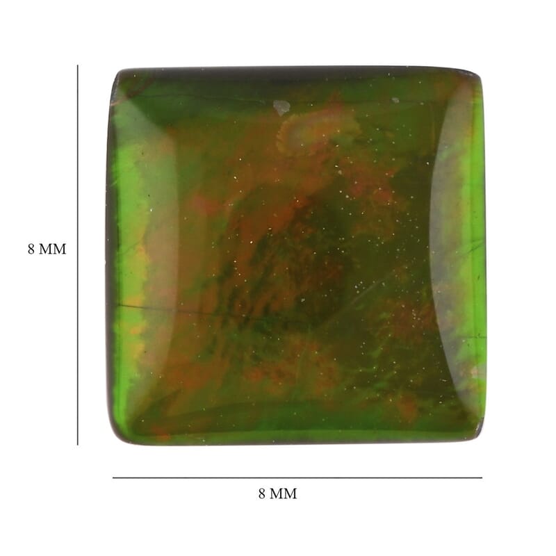 AAAA Canadian Ammolite (Sqr 8x8 mm) 1.50 ctw