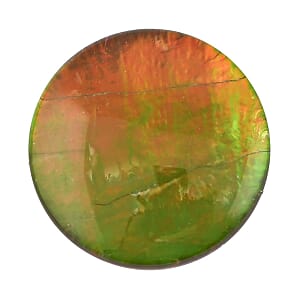 AAAA Canadian Ammolite (Rnd 10mm) 3.00 ctw