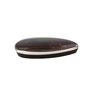 AAAA Canadian Ammolite (Pear 12x8 mm) 2.00 ctw