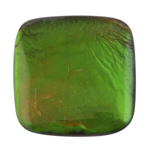 AAAA Canadian Ammolite (Cush 10x10mm) 2.50 ctw