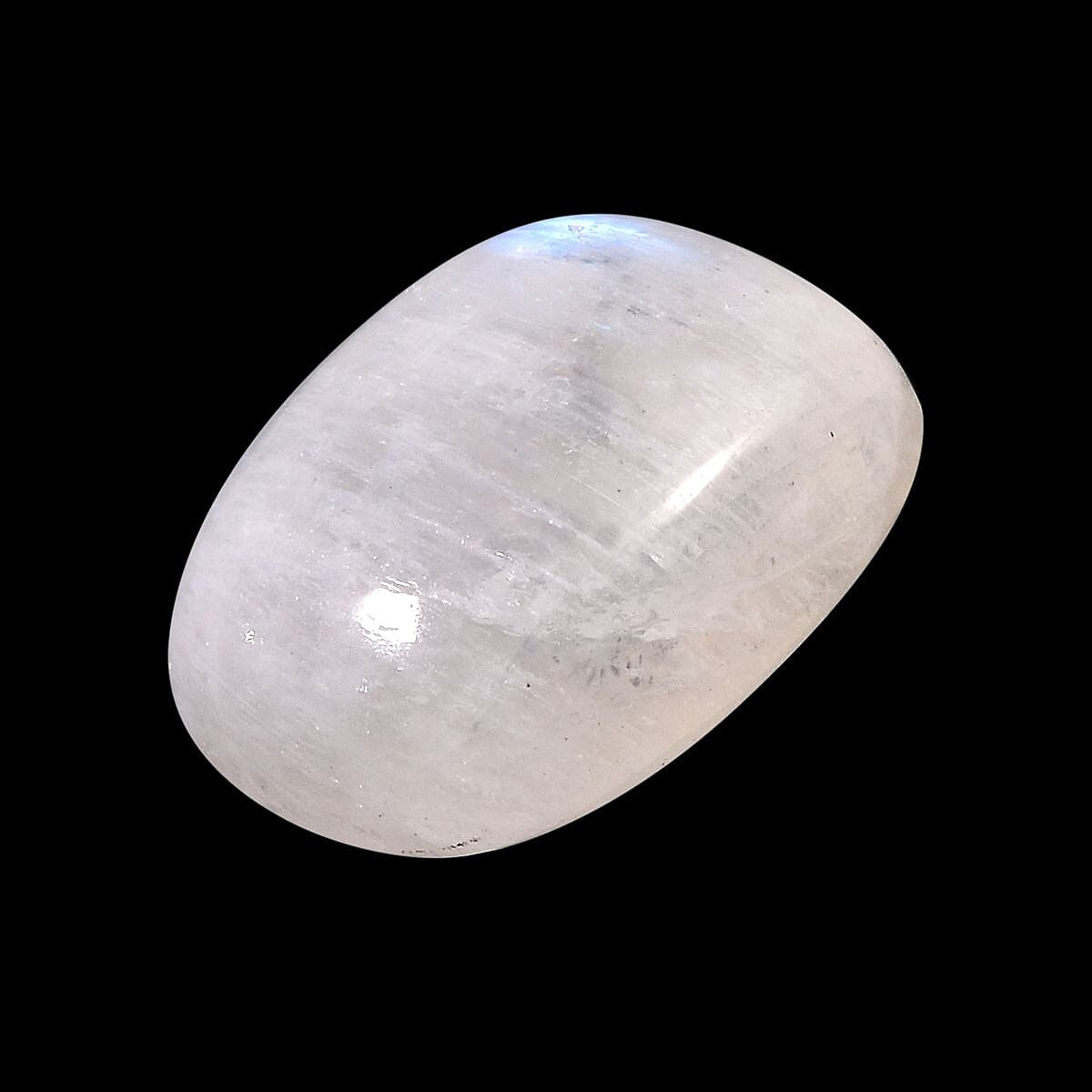 Default Title - Product card gallery slide 2 (10146030354715)