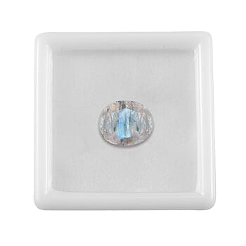 Default Title - Product card gallery slide 3 (10177882915129)