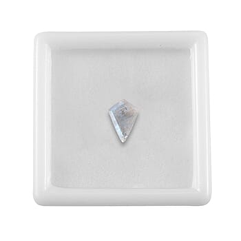 Default Title - Product card gallery slide 3 (10177883275577)