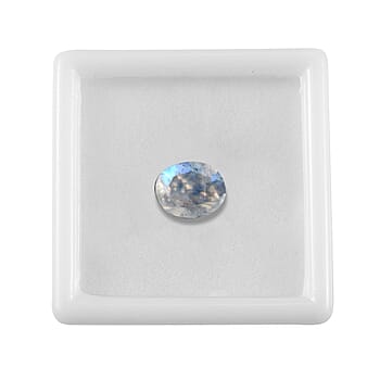 Default Title - Product card gallery slide 3 (10177883832633)