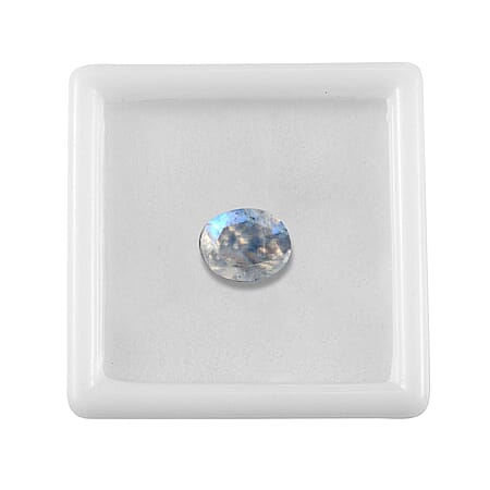 Default Title - Product card gallery slide 3 (10177883832633)