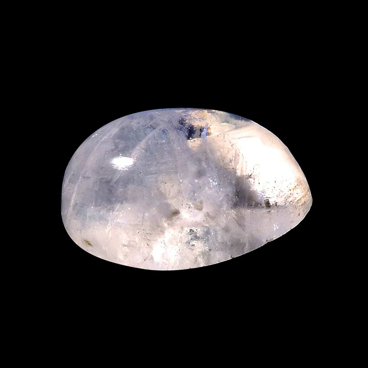 Default Title - Product card gallery slide 2 (10145932738843)