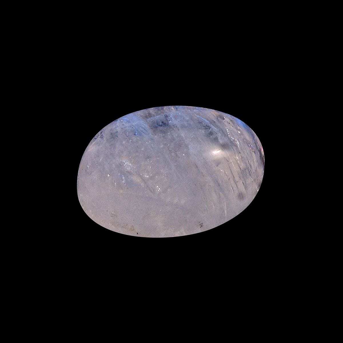 Default Title - Product card gallery slide 2 (10146030420251)