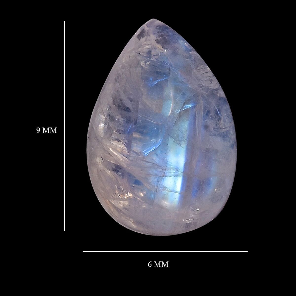 Default Title - Product card gallery slide 4 (10146030420251)