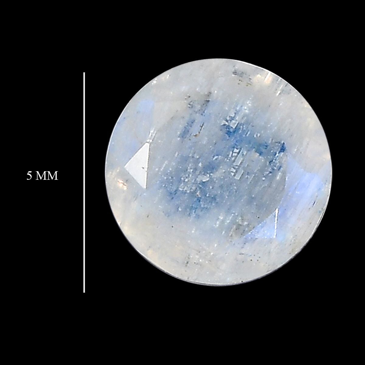 Default Title - Product card gallery slide 4 (10146030125339)