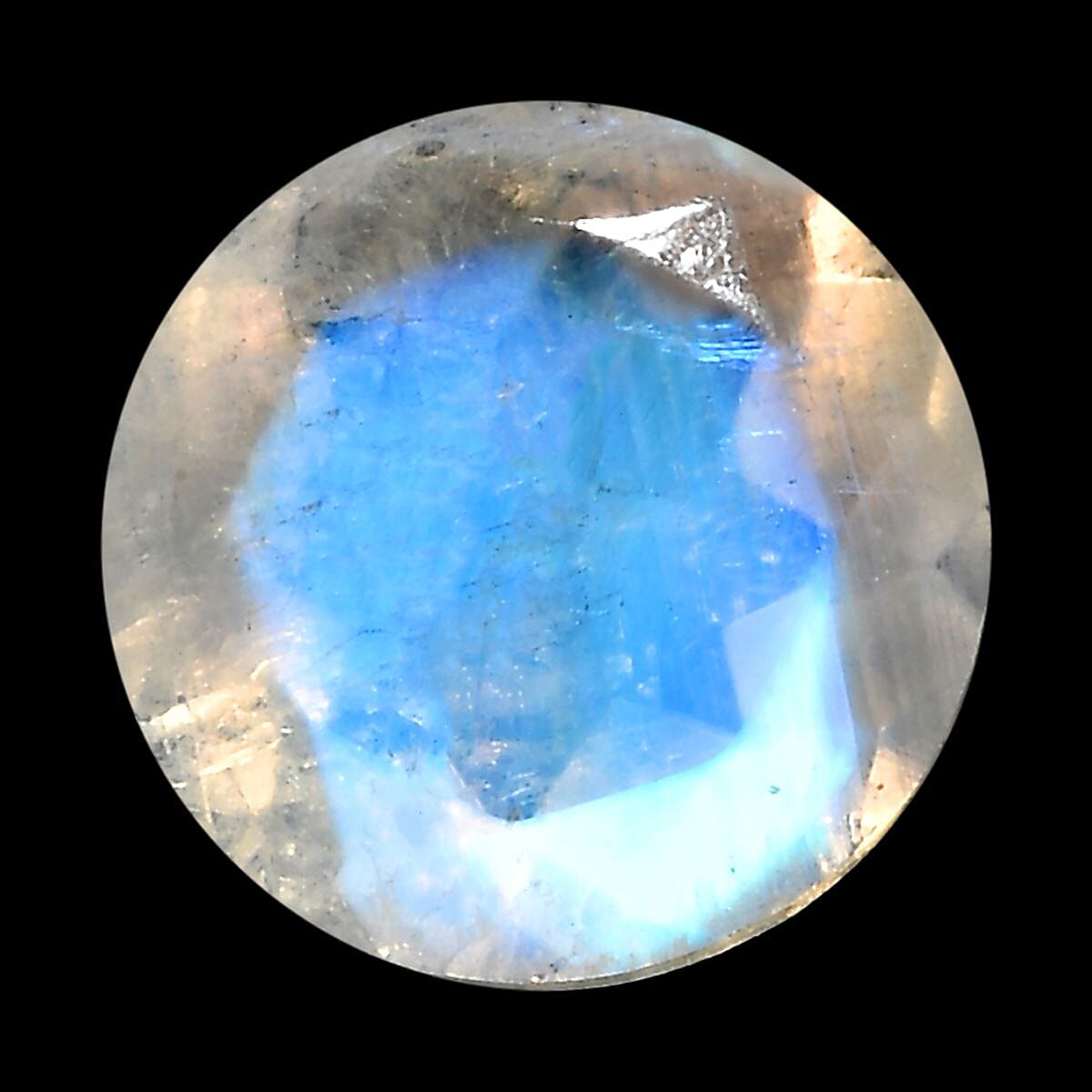 Default Title - Product card gallery slide 1 (10146030321947)