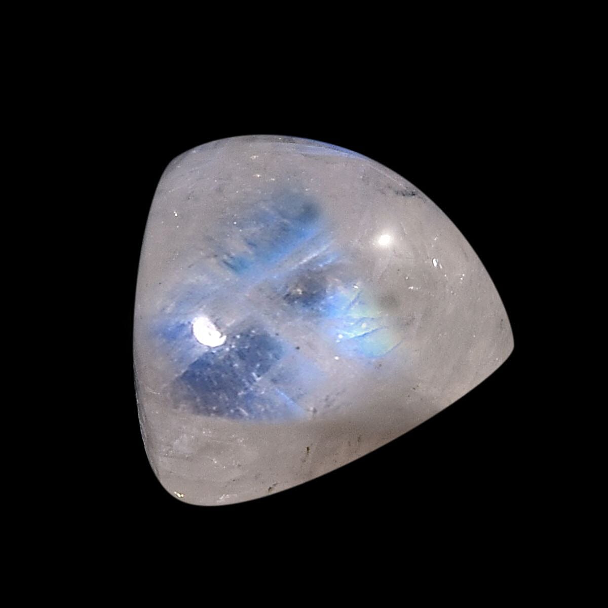 Default Title - Product card gallery slide 2 (10146031042843)