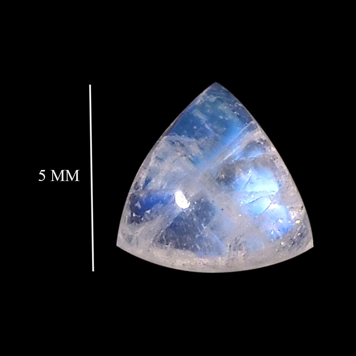 Default Title - Product card gallery slide 4 (10146031042843)