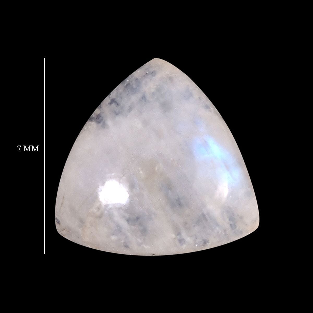 Rainbow Moonstone (Trl 7 mm) 1.17 ctw