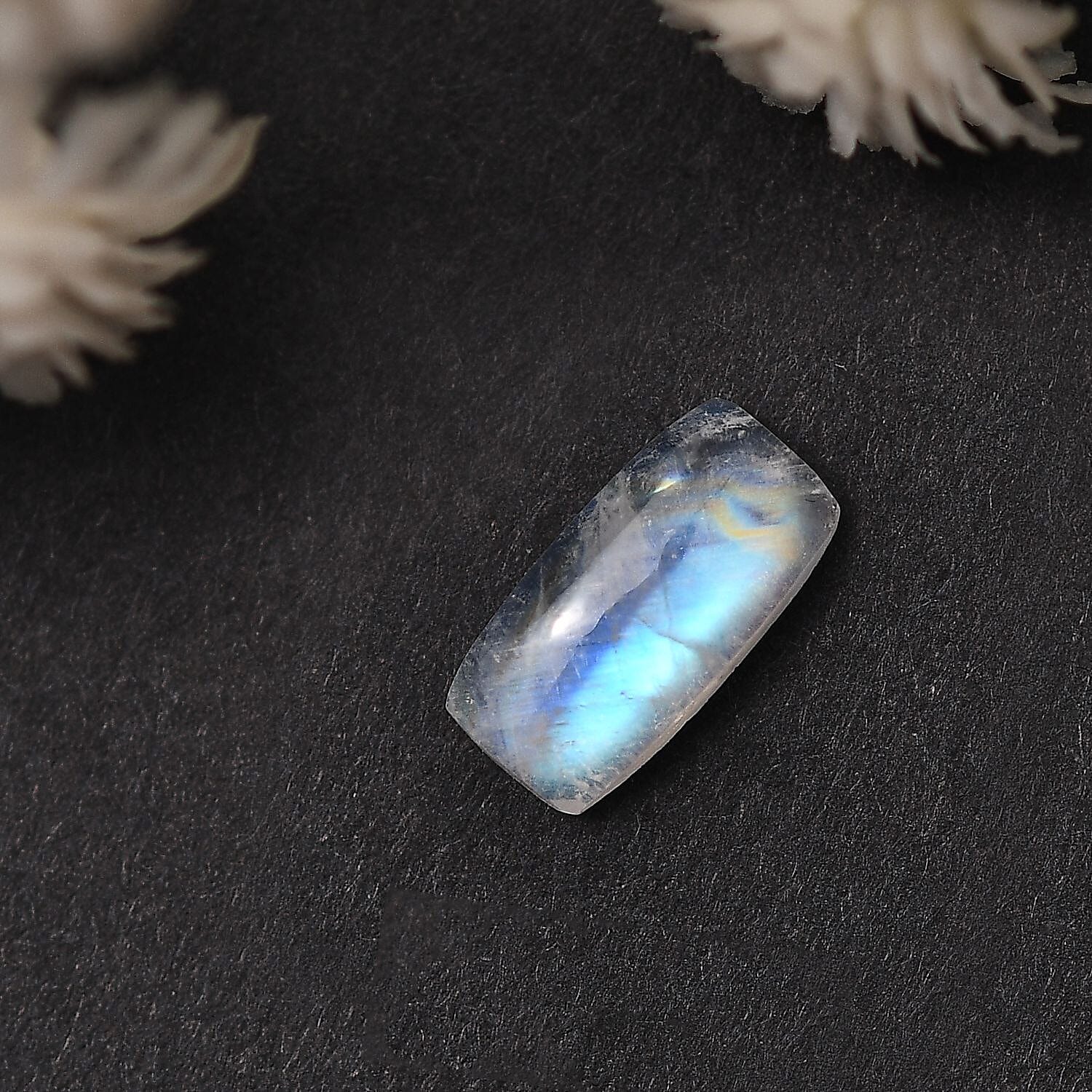 Rainbow Moonstone (Cush 12x6 mm) 2.40 ctw