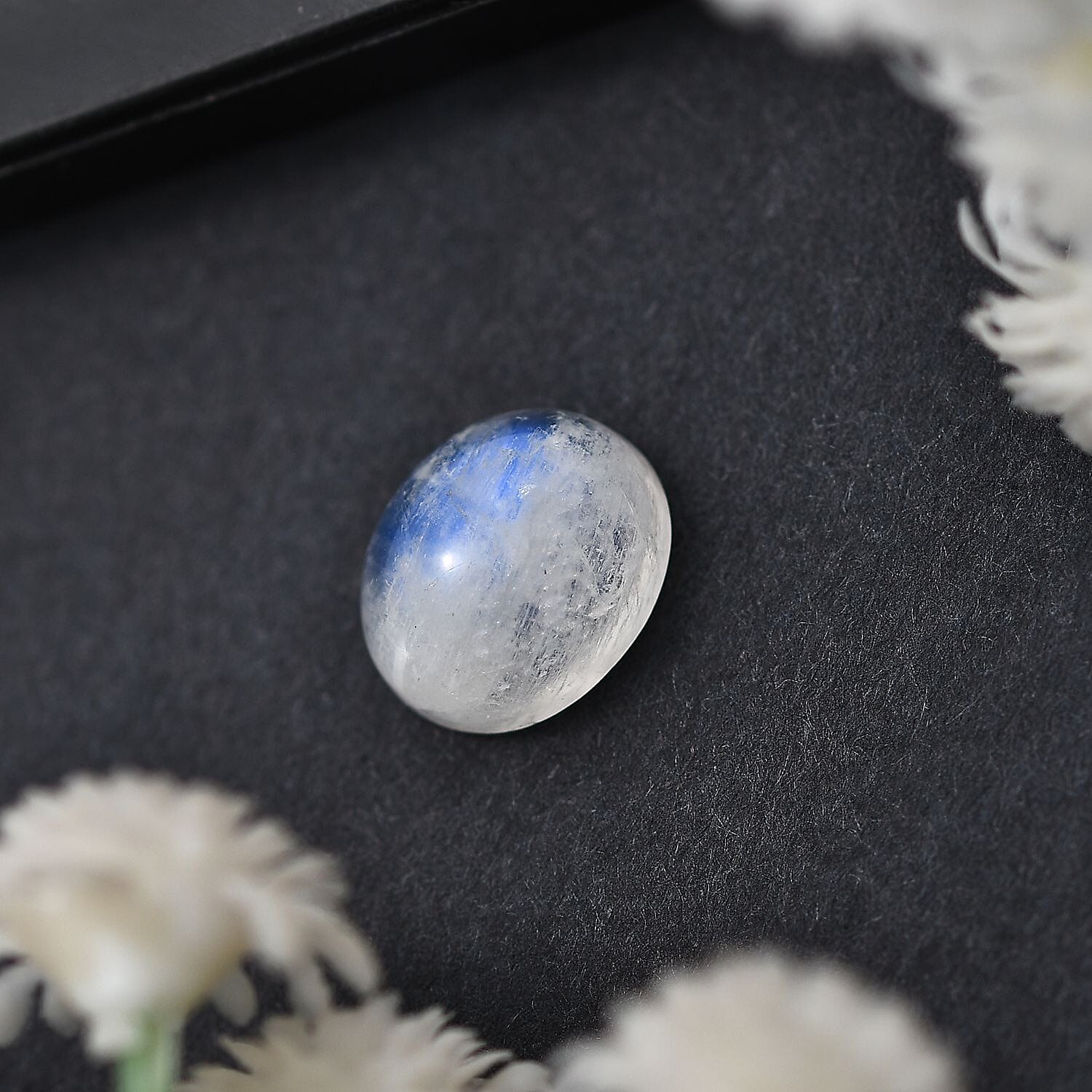 Default Title - Product card gallery slide 2 (10145929560347)